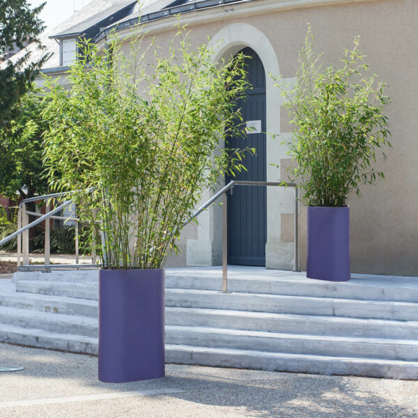 ATECH Bac Celsus 1