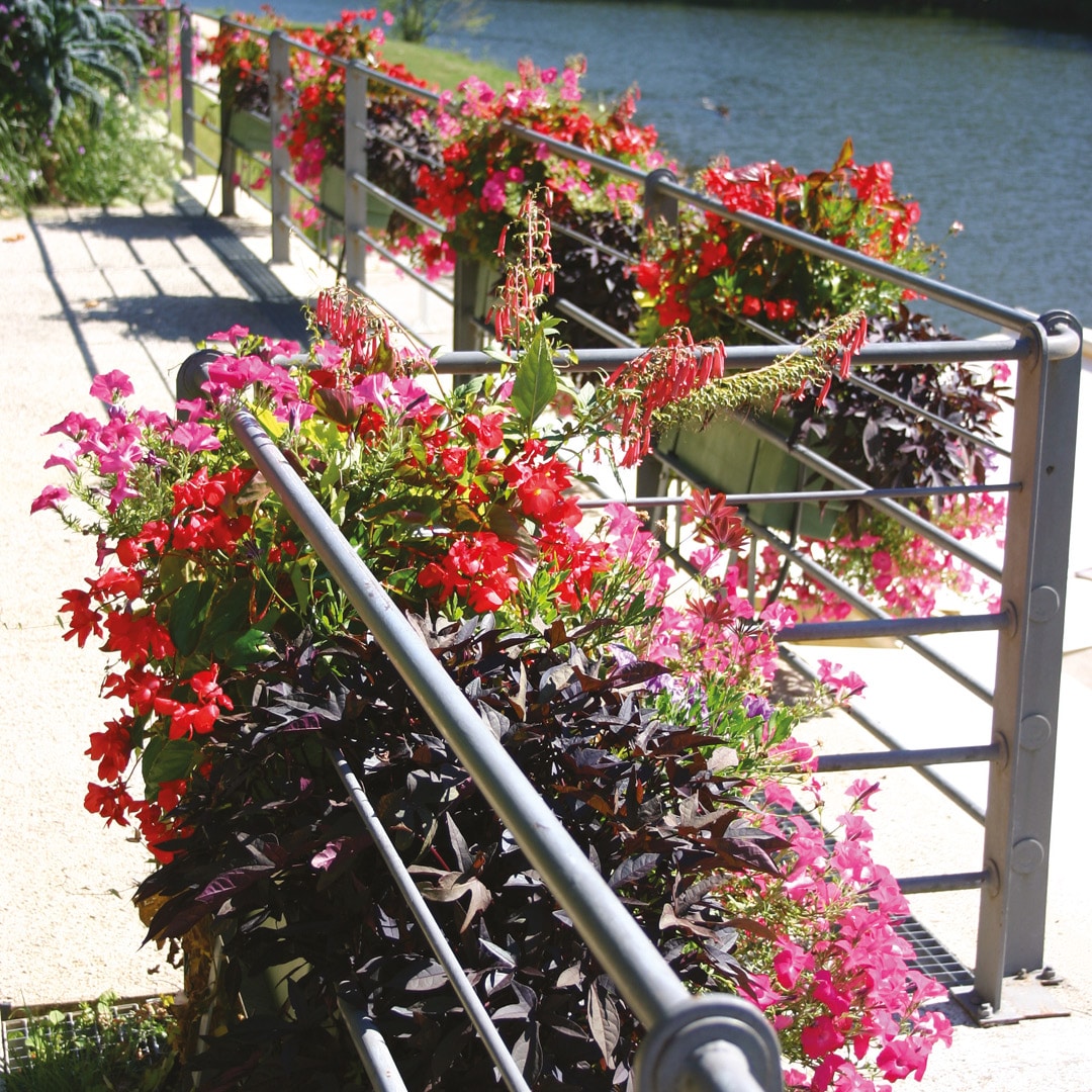 Jardinières, murets et balconnières