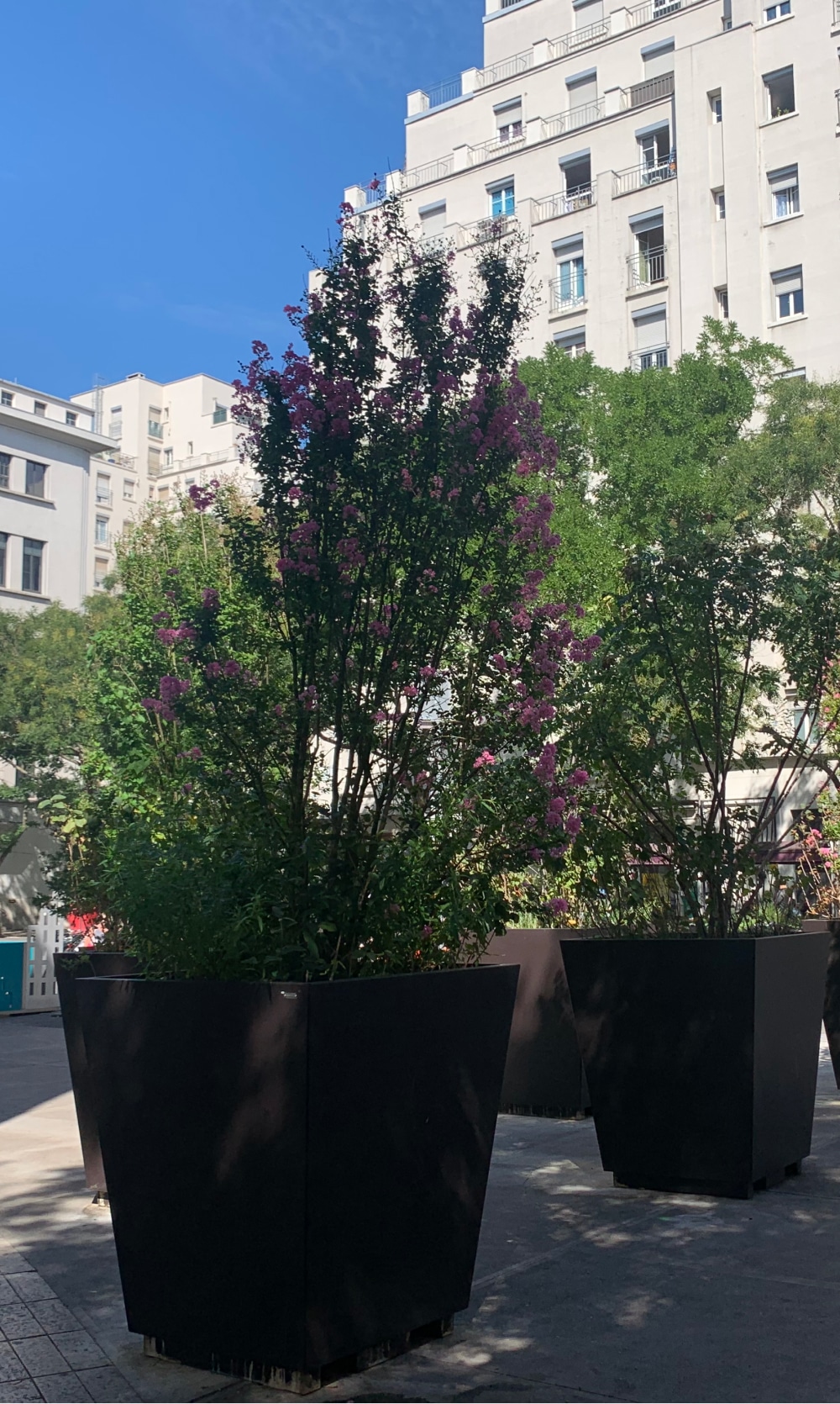 ecoquartier-vegetation-1 ATECH-ecodistrict