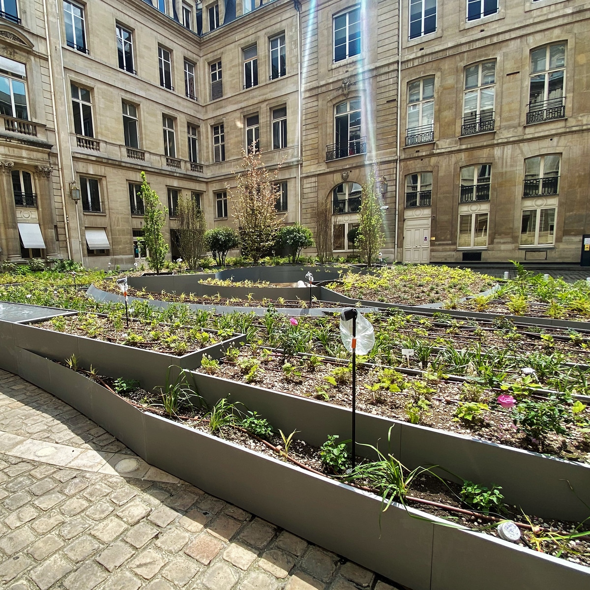 Pflanzengarten Place Vendôme - ATECH