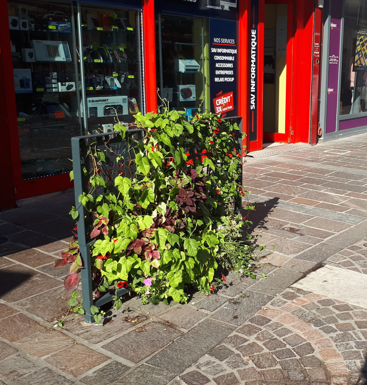 micro-implantation-florale-atech micro implantation florale atech