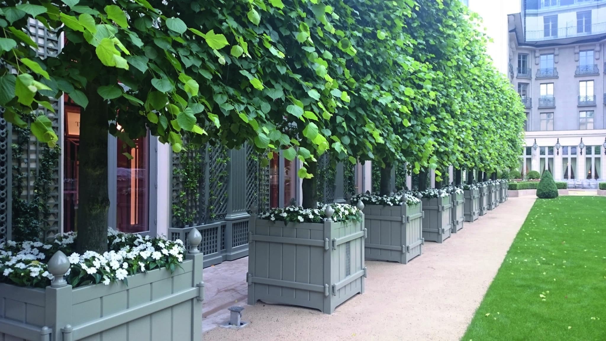 atech-bacs-sur-mesure-pour-un-jardin-privé ensemble de bacs classique sans fond contenant des arbres dans un jardin privé
