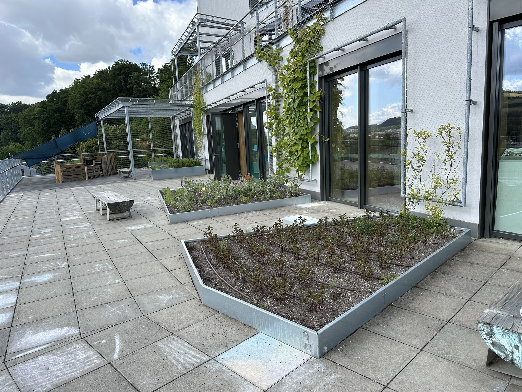 terrasse d'un étage de la maison relais d'Ettelbruck avec des bacs sans fond sur mesure en acier galvanisé