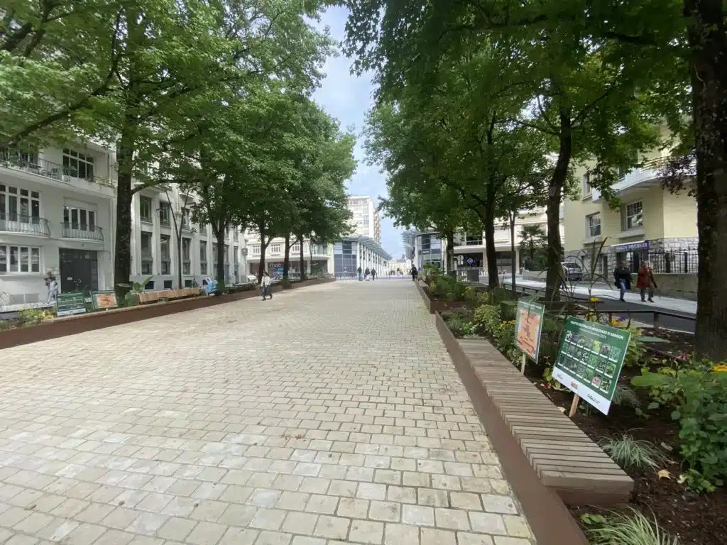 Aménagement paysager à Pau Amenagement paysager a Pau