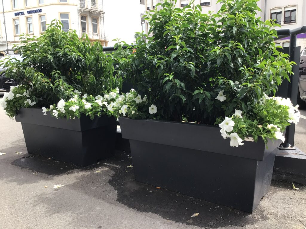 ATECH-Blumentopf-Rechteckig-MONDORF-LES BAINS-LUXEMBURG (1)