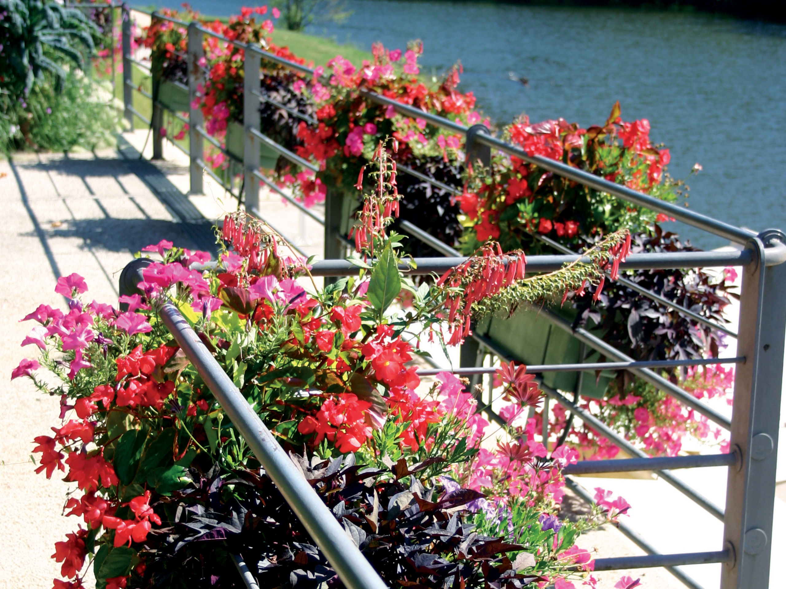Recyclable plastic planter - Series A
