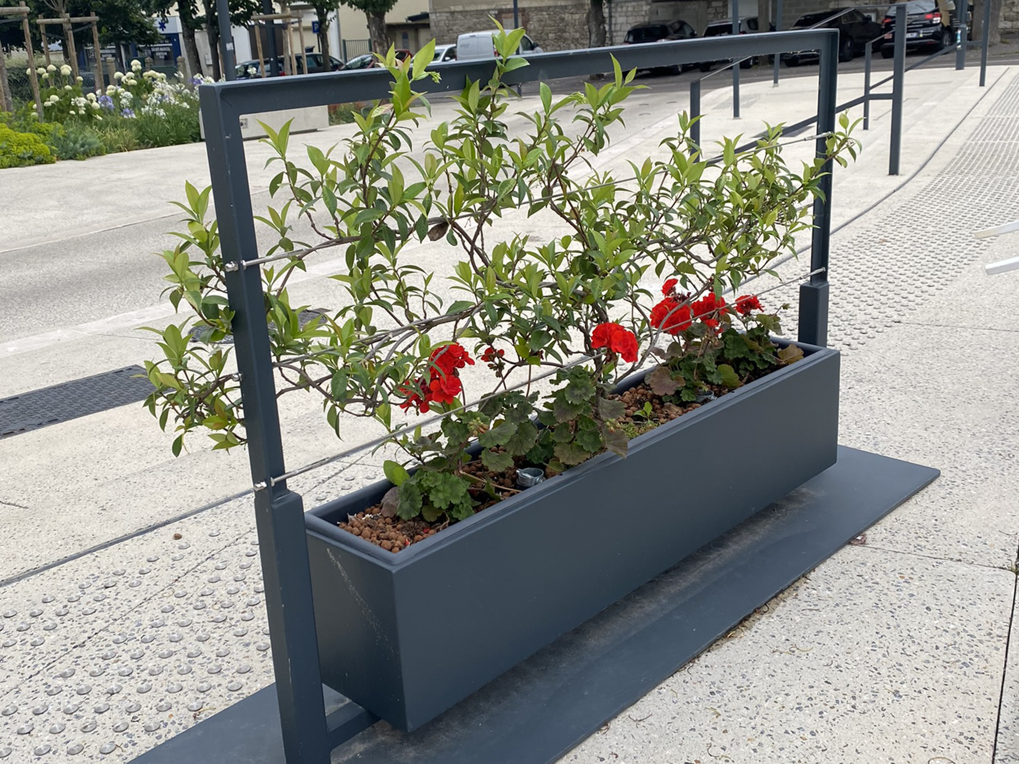 Barrière de Ville – Hedera