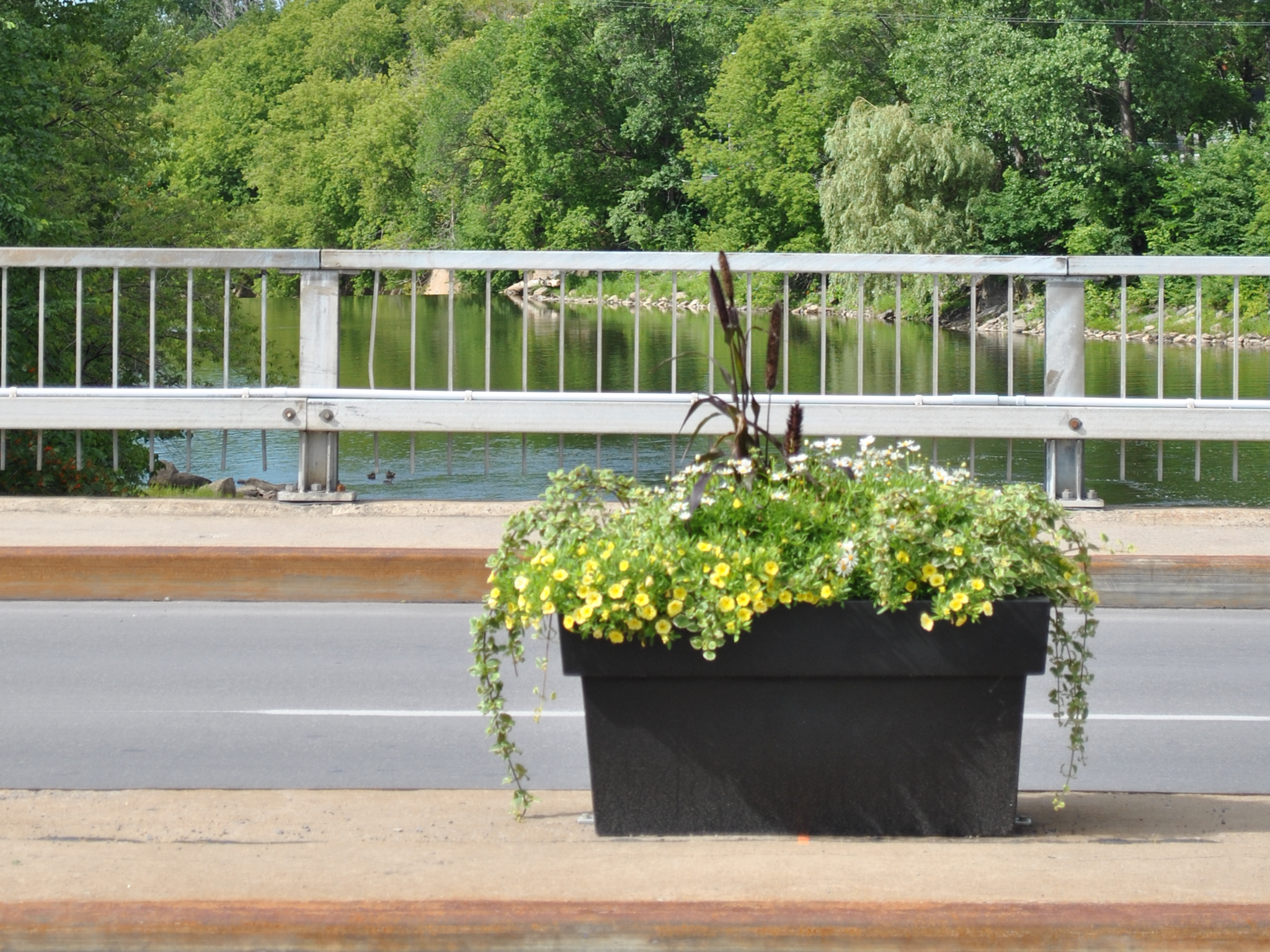 Recycelbarer Plastikblumentopf – Rechteckig
