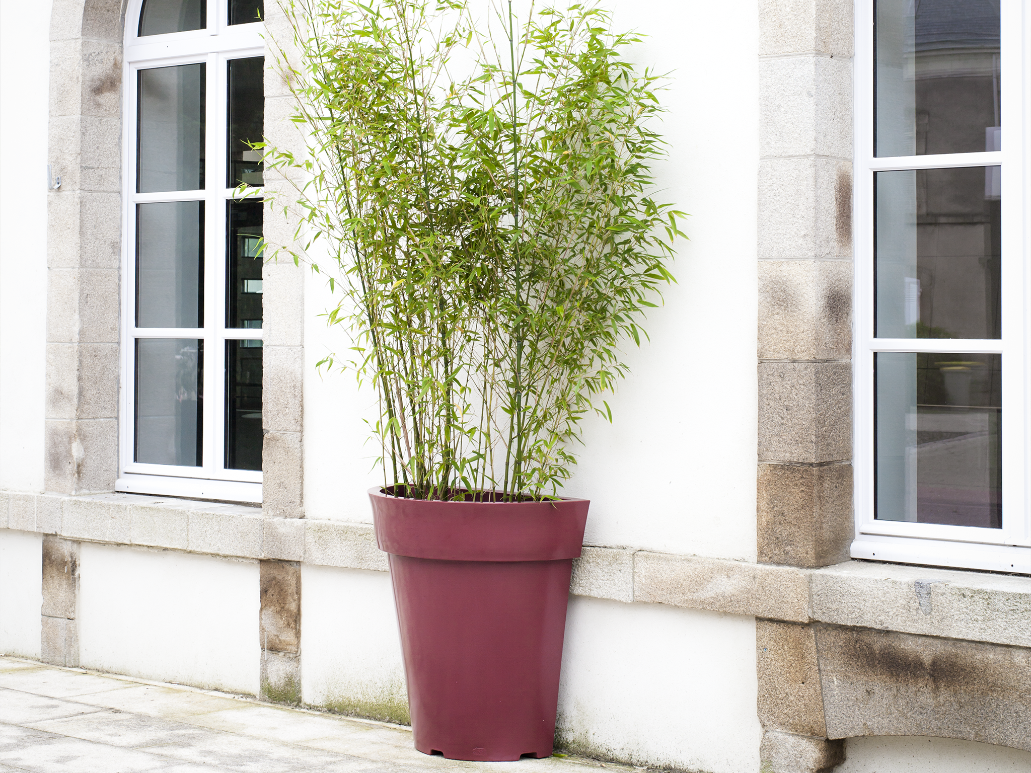 Recyclable Plastic Flower Pot - Half Exotic
