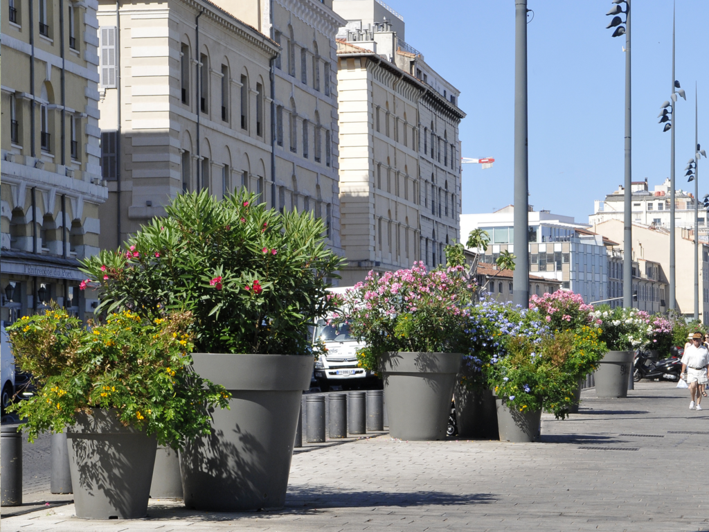 Recyclable Plastic Flower Pot - Extravase
