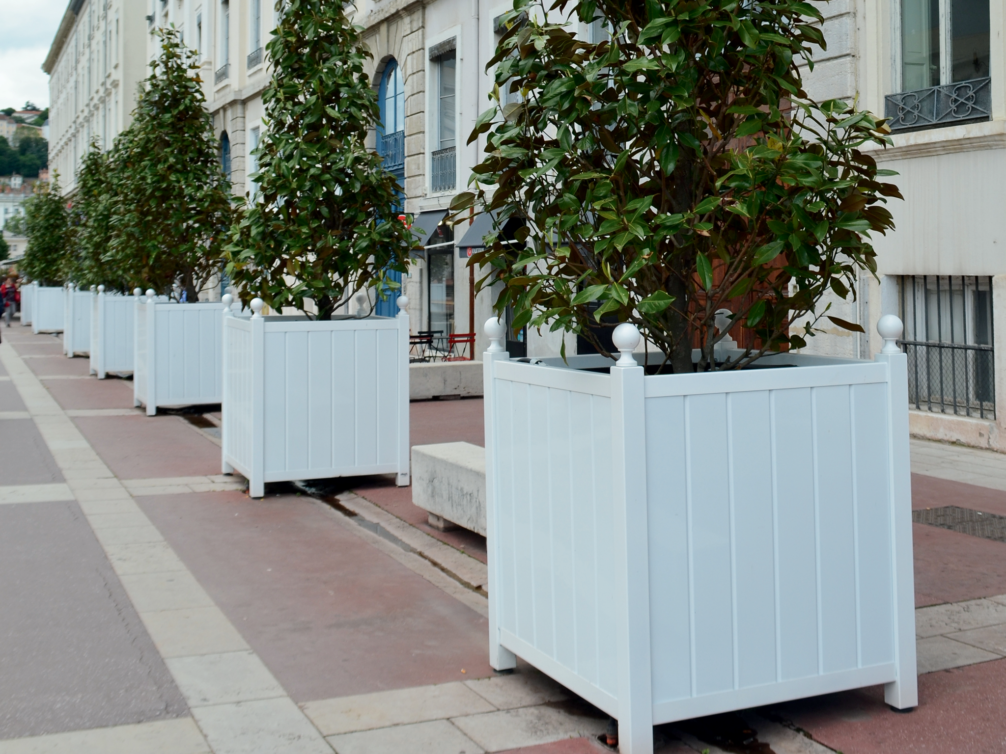 Bac d’Orangerie – Dualis