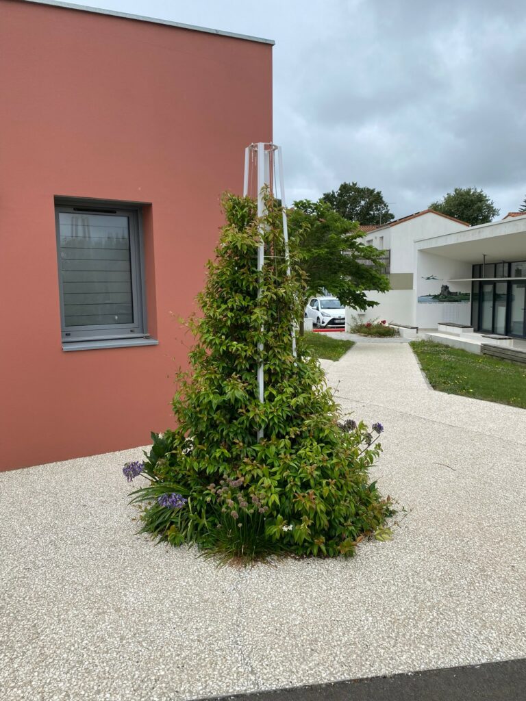 Atech-Hedera-Säule (2)