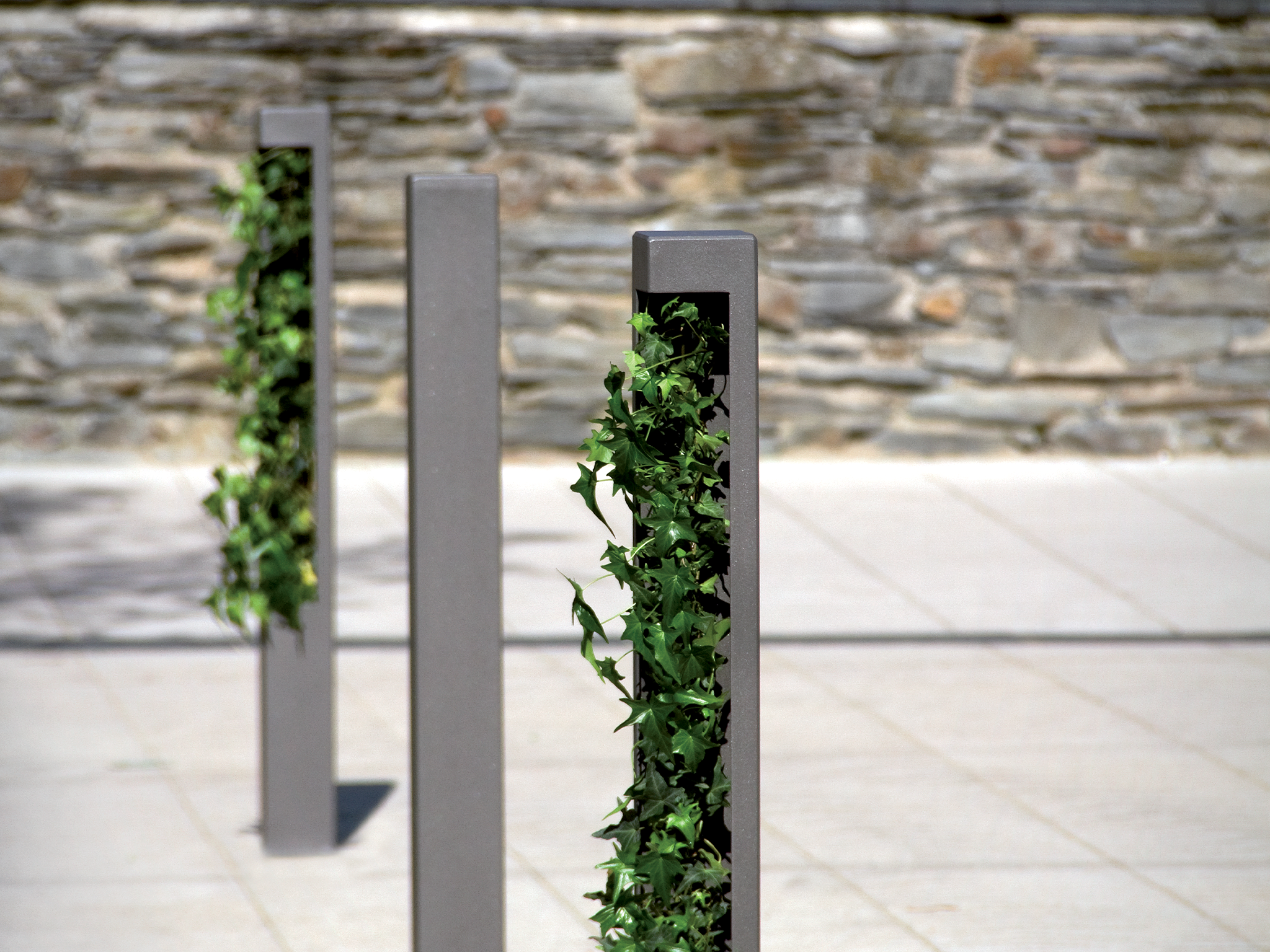 Potelet – Hedera